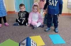 IMG20241129134225 